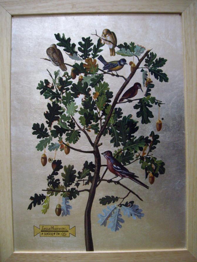 QUERCIA  UCCELLINI