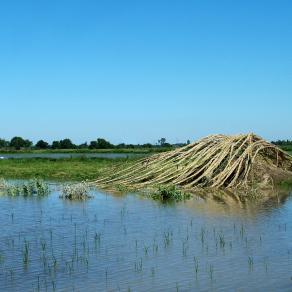 Inondation