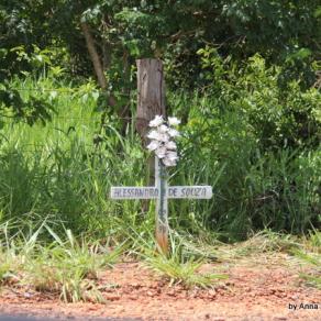 Roads of Minas Gerais - L'ultimo viaggio... 7