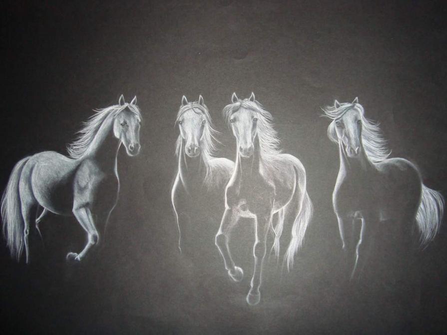 Horses in the dark