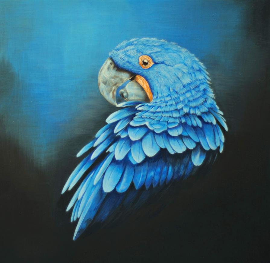 the blue parrot