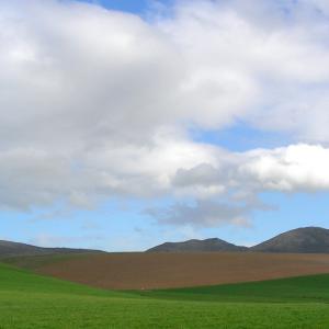 South Africa. Un/natural colors