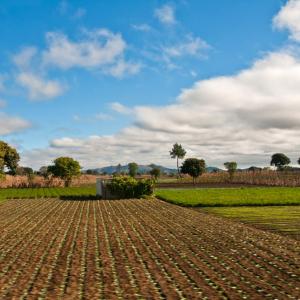 Guatemala. Tierras Mayas 2/2