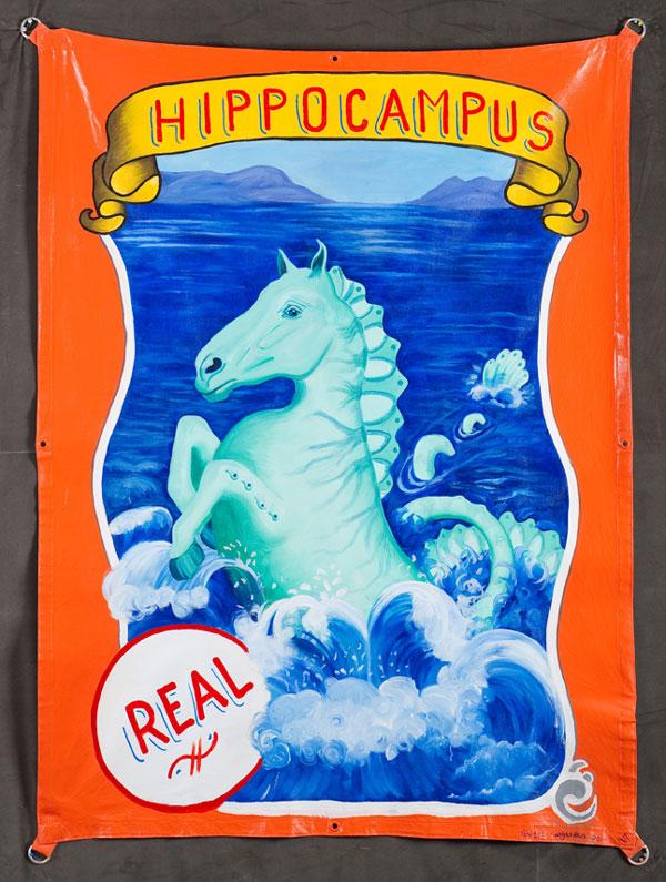 Hippocampus