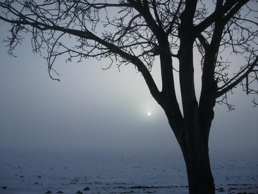 La luna che tornava a candire