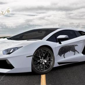 Progetto Lamborghini