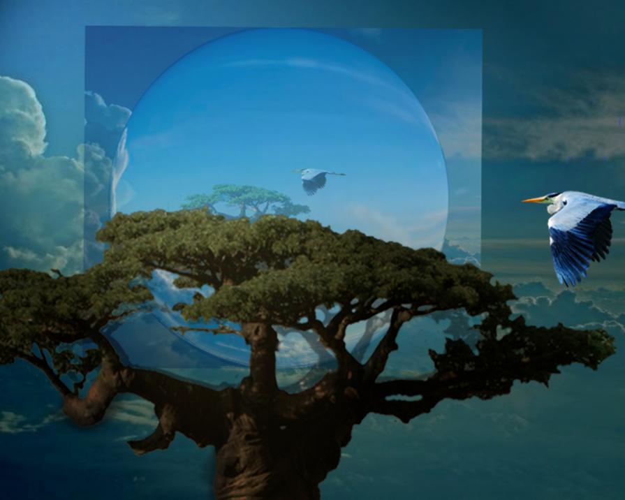 The flight of a AIRONE reaches a tree in the midst of heaven