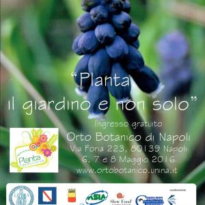 Planta il giardino e non solo