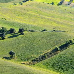 Italy. Basilicata & Campania. Dropouts and rediscovered