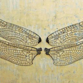 Dragonfly wings