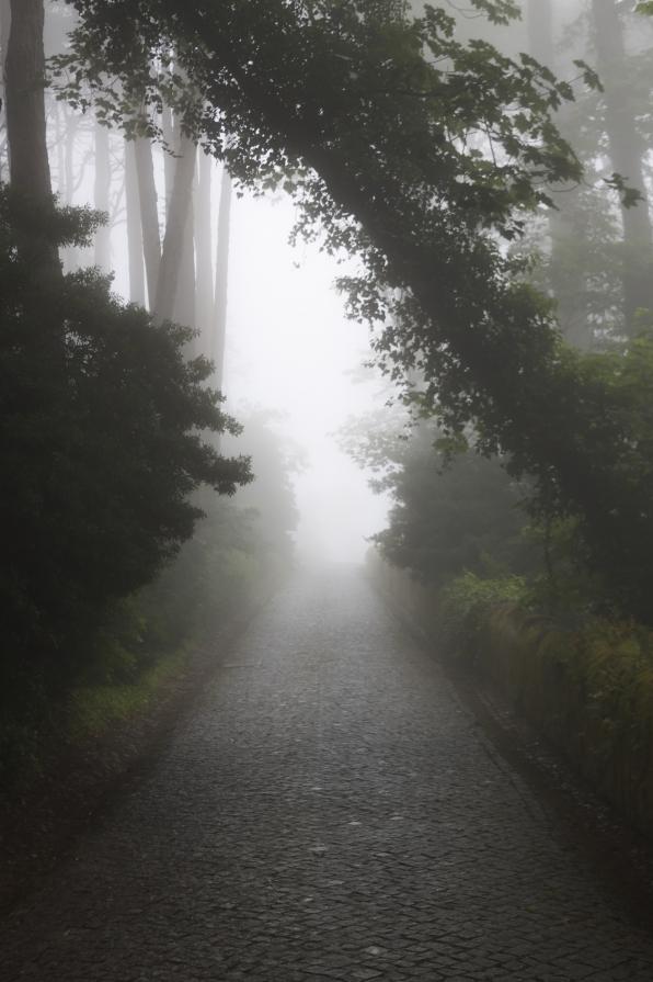 Sintra, Portugal IV