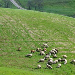 Italy. Basilicata & Campania. Dropouts and rediscovered