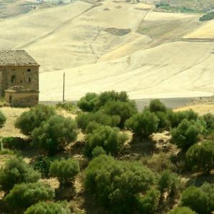 Italy. Sicily, Enna colors of summer