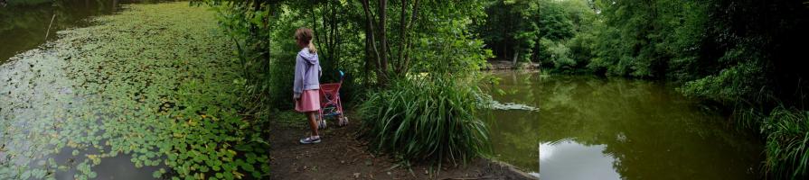 Bidborough Pond,(FamilyLife),T.Wells,Aug 09