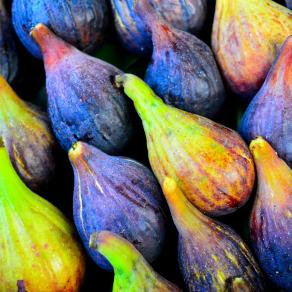 Luscious Ripe Figs