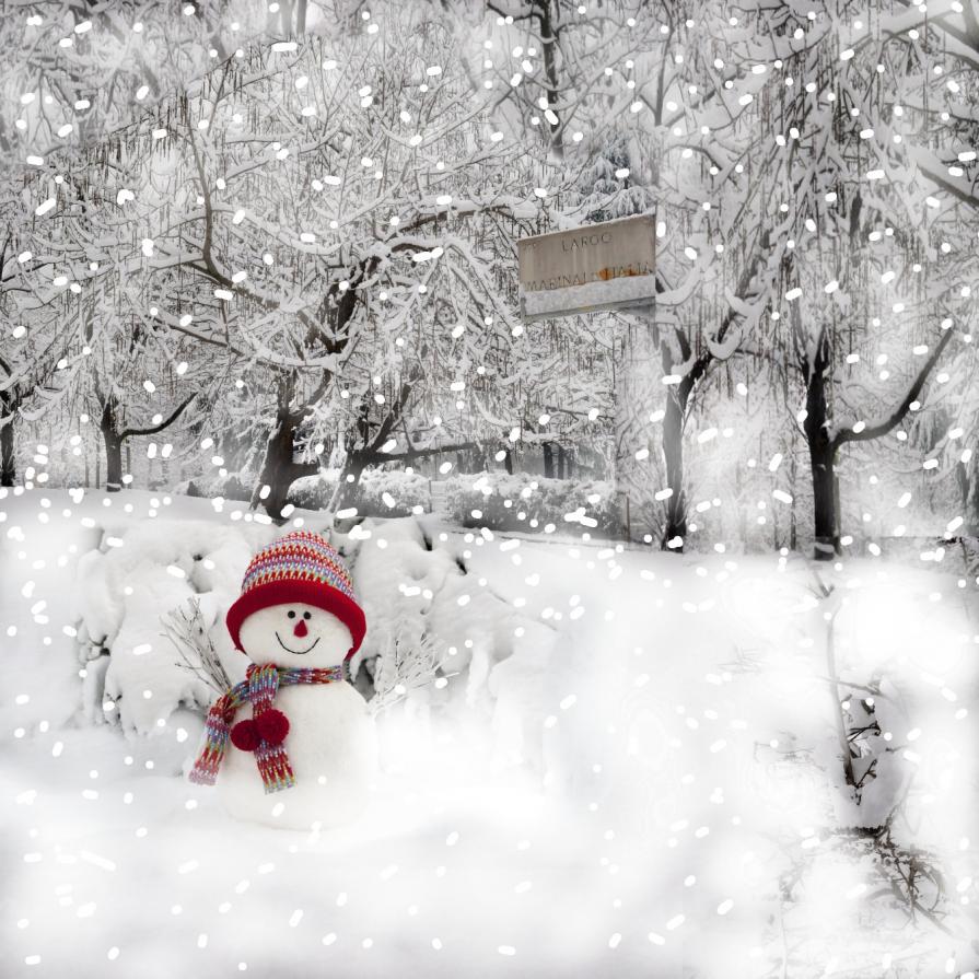 POTREI LEGGERE IL DESIDERIO D'ETERNITÀ PERSINO NEGLI OCCHI DI UN PUPAZZO DI NEVE...!!!