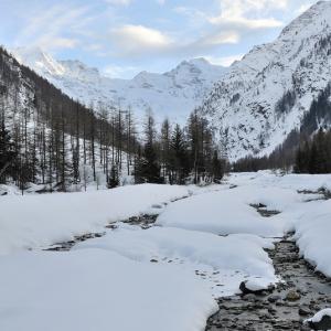 Italy. Val d'Aosta. White and his reflexes