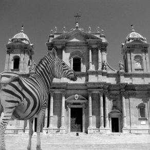 Noto Zebra