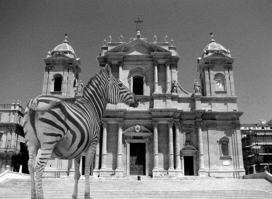 Noto Zebra