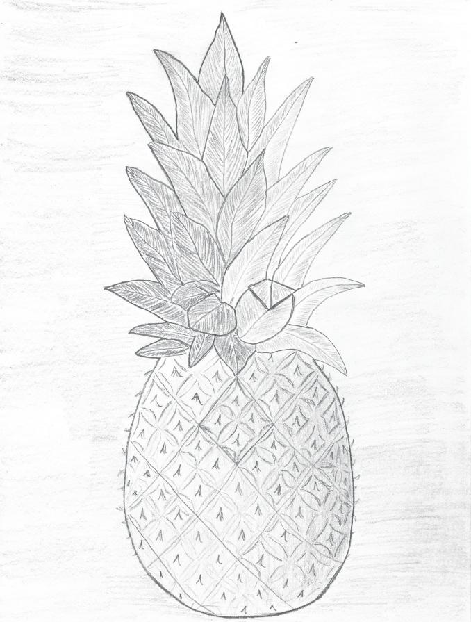 ananas