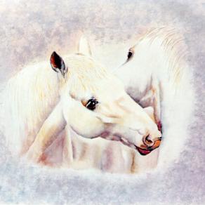 Caballos Albinos