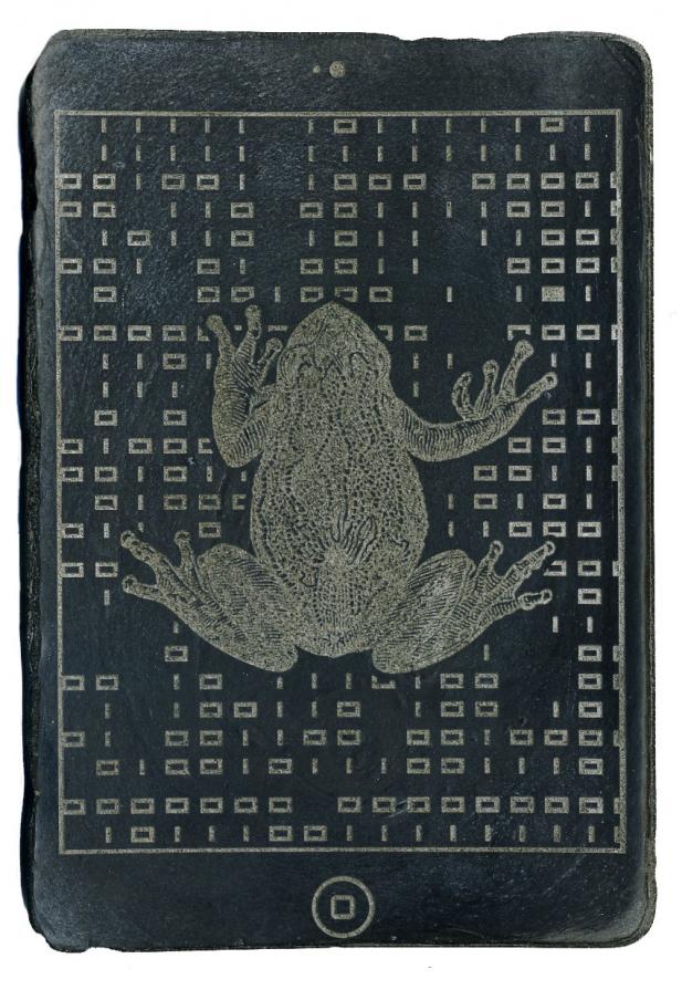 CODEX (frog)