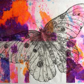 butterfly, volo n.1