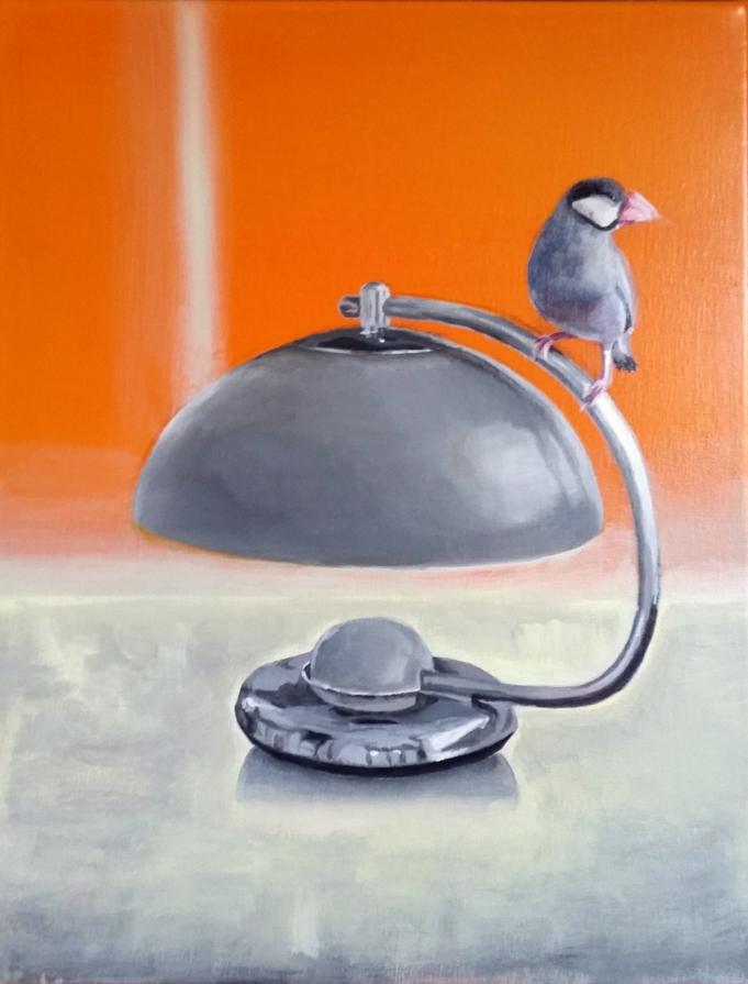 Java Sparrow perched on a lampshade