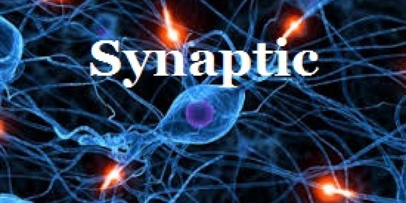 Synaptic