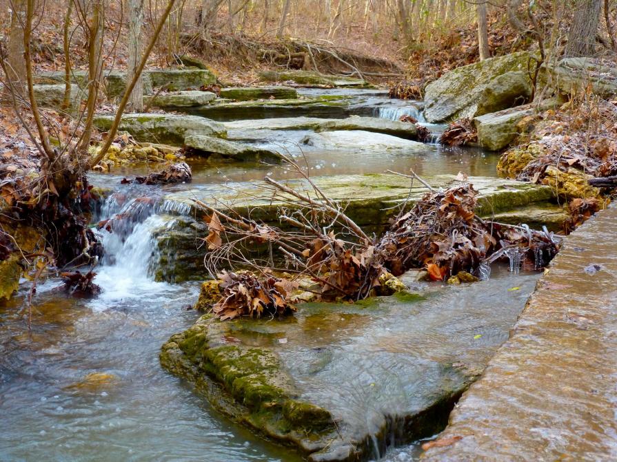 Autumn Stream