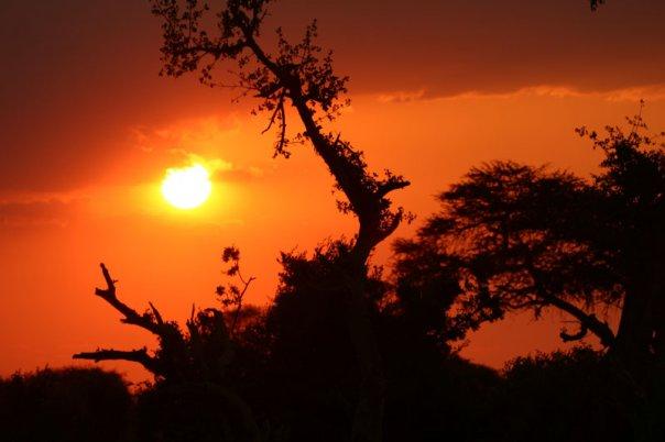 african sunset