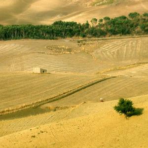 Italy. Sicily, Enna colors of summer