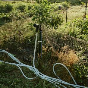 Sheep Pasture Gardens, Hose