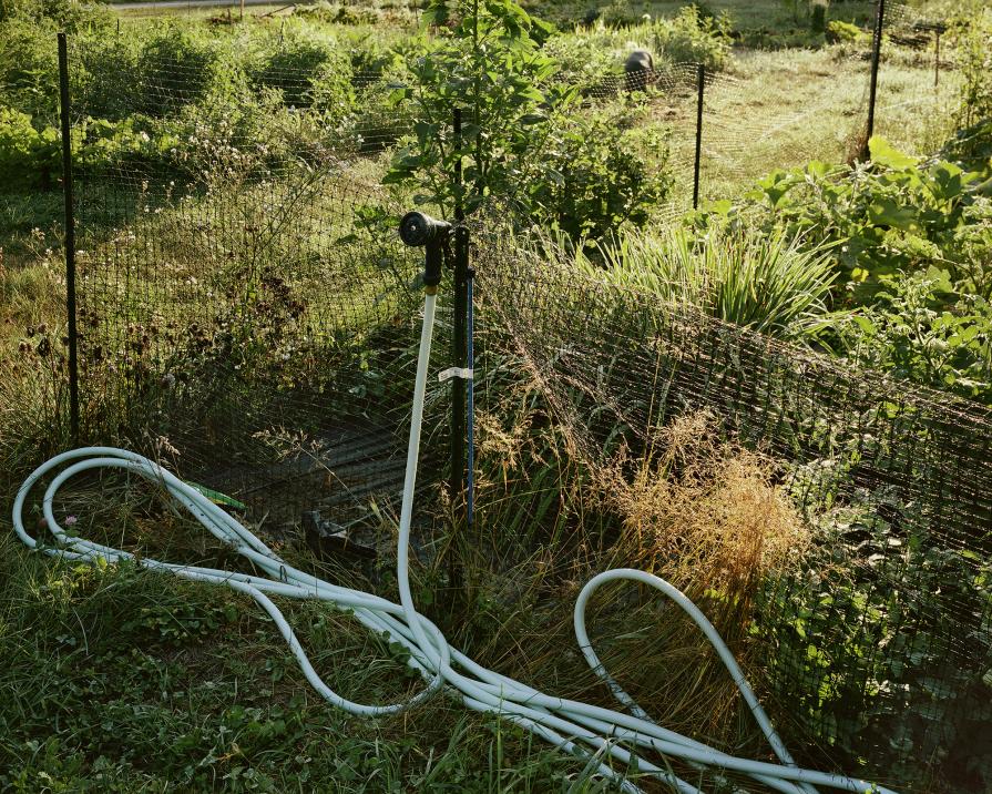 Sheep Pasture Gardens, Hose