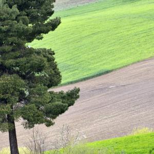 Italy. Basilicata & Campania. Dropouts and rediscovered