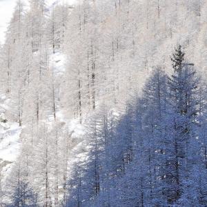 Italy. Val d'Aosta. White and his reflexes