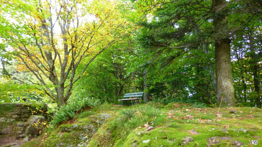 Le banc ou méditation...