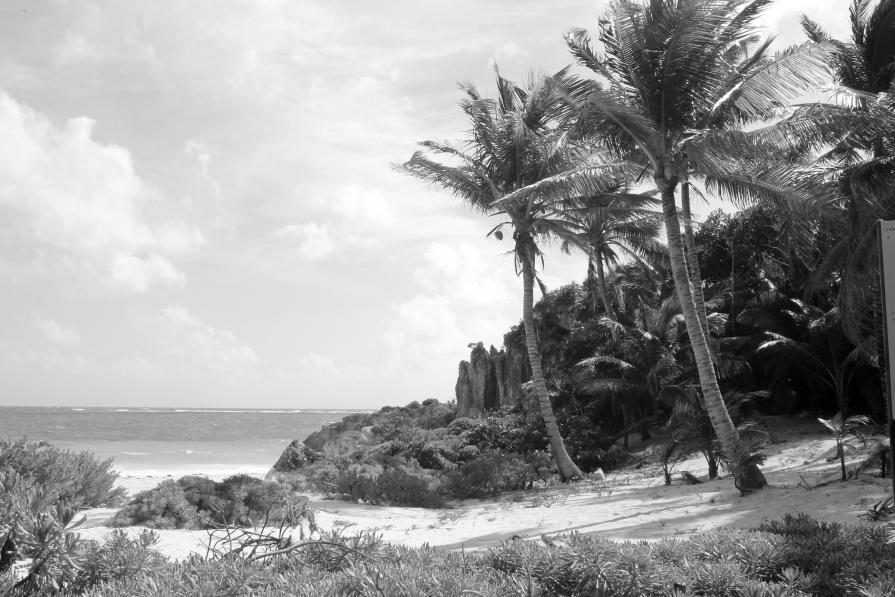 Tulum Ruins #10