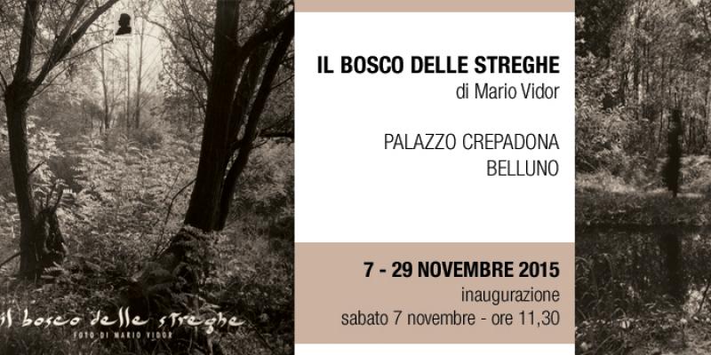 Il bosco delle streghe - Mario Vidor