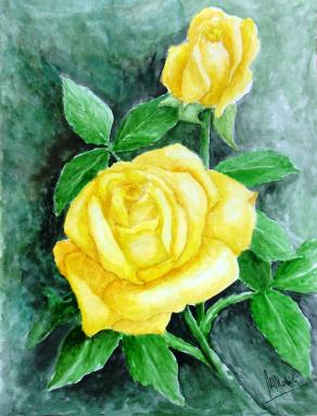 Yellow Rose