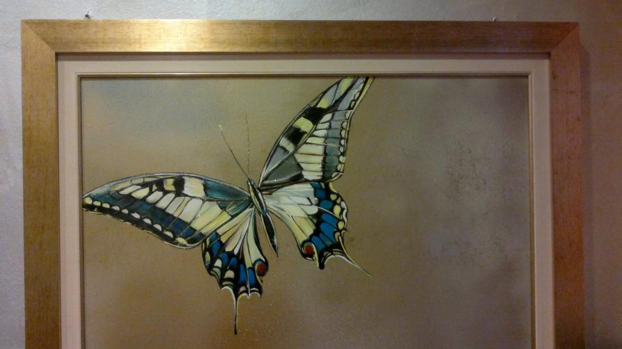 Papilio machaon 1