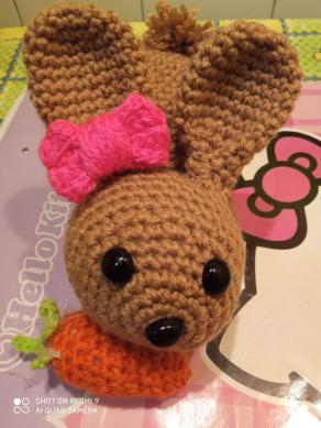 Loretta la simpatica coniglietta amigurumi