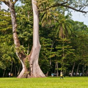 Guatemala. Tierras Mayas 2/2