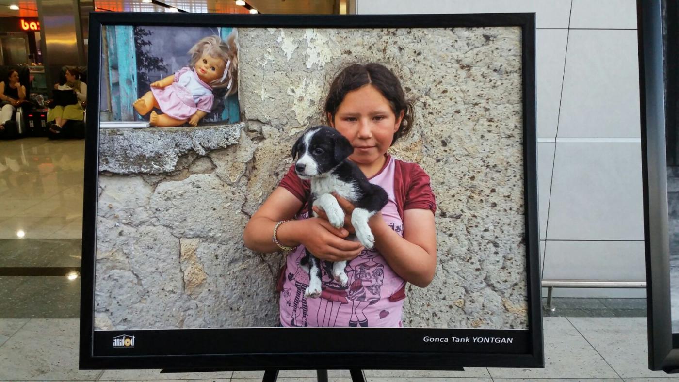  ANAFOD (Istanbul Anatolian Side Photographic Arts Society) -Sabiha Gokcen International Airport Photo Exhibition