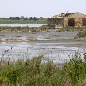 Italy. Sicily, Siracusa and Ragusa