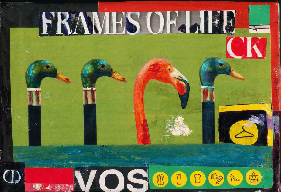 Frames of life