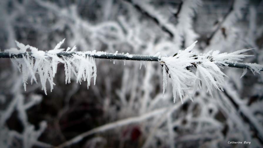 Paillettes d'hiver