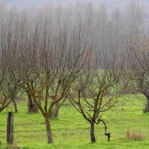 Italy. Basilicata. Potenza (2)