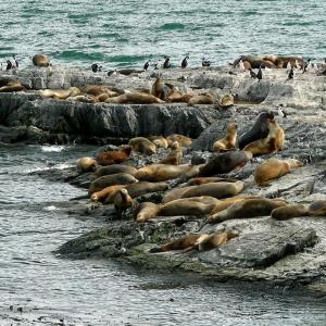 Argentina, Patagonia