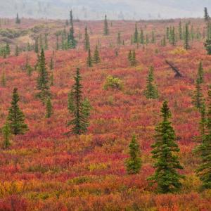 USA. Alaska 2/3. Boundaries and beyond